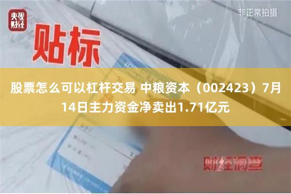 股票怎么可以杠杆交易 中粮资本（002423）7月14日主力资金净卖出1.71亿元