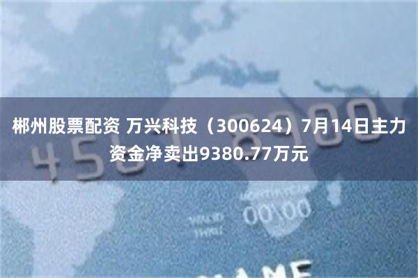 郴州股票配资 万兴科技（300624）7月14日主力资金净卖出9380.77万元