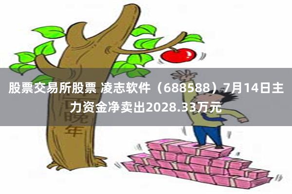 股票交易所股票 凌志软件（688588）7月14日主力资金净卖出2028.33万元