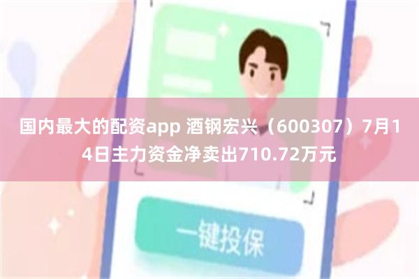 国内最大的配资app 酒钢宏兴（600307）7月14日主力资金净卖出710.72万元