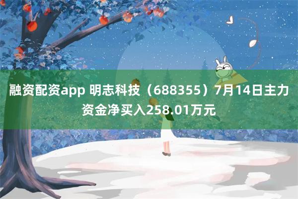 融资配资app 明志科技(688355)7月14日主力资金净买入258.01万元