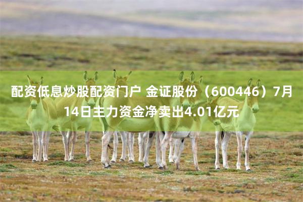 配资低息炒股配资门户 金证股份（600446）7月14日主力资金净卖出4.01亿元