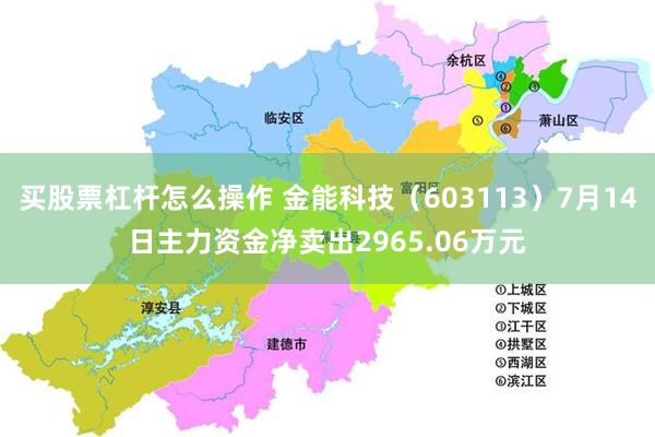 买股票杠杆怎么操作 金能科技（603113）7月14日主力资金净卖出2965.06万元