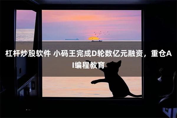 杠杆炒股软件 小码王完成D轮数亿元融资，重仓AI编程教育