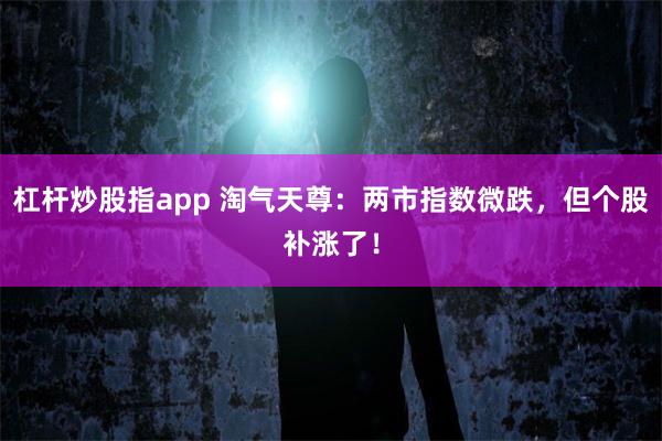 杠杆炒股指app 淘气天尊：两市指数微跌，但个股补涨了！