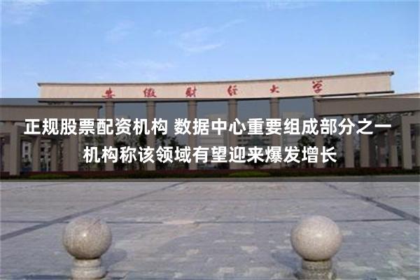 正规股票配资机构 数据中心重要组成部分之一 机构称该领域有望迎来爆发增长