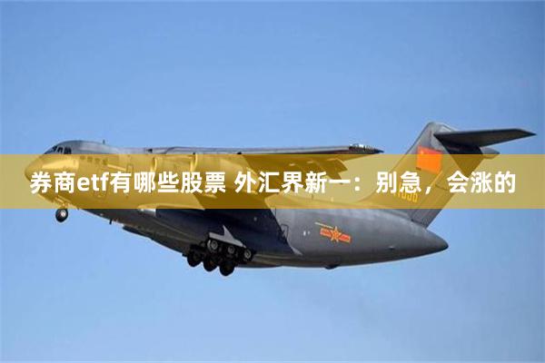 券商etf有哪些股票 外汇界新一：别急，会涨的
