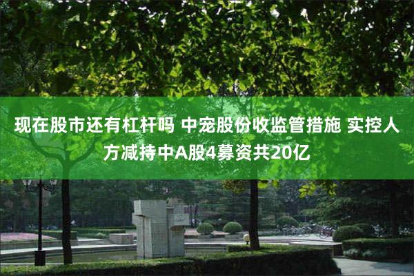 现在股市还有杠杆吗 中宠股份收监管措施 实控人方减持中A股4募资共20亿