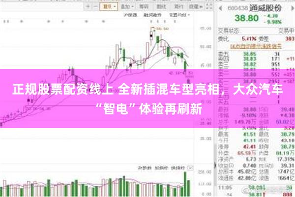 正规股票配资线上 全新插混车型亮相，大众汽车“智电”体验再刷新