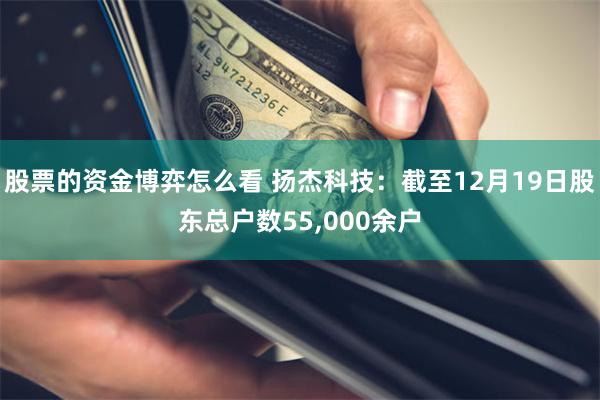 股票的资金博弈怎么看 扬杰科技：截至12月19日股东总户数55,000余户