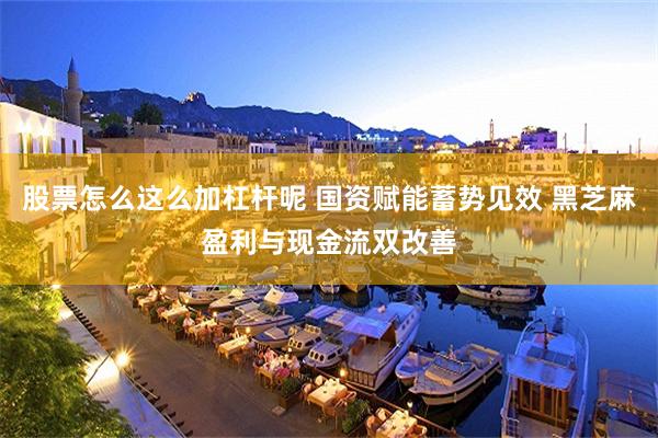 股票怎么这么加杠杆呢 国资赋能蓄势见效 黑芝麻盈利与现金流双改善