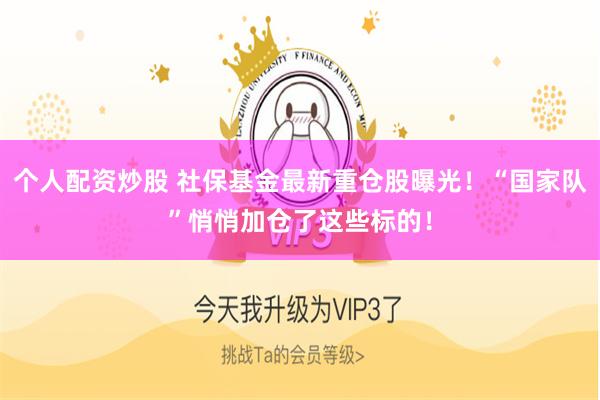 个人配资炒股 社保基金最新重仓股曝光！“国家队”悄悄加仓了这些标的！