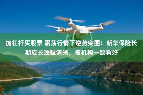 加杠杆买股票 震荡行情下逆势突围！新华保险长期成长逻辑清晰，被机构一致看好