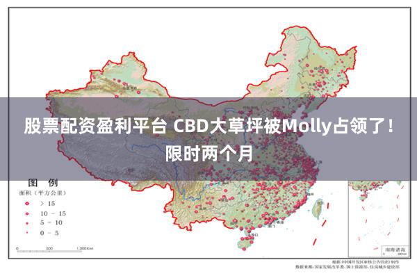 股票配资盈利平台 CBD大草坪被Molly占领了！限时两个月