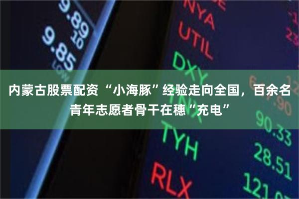 内蒙古股票配资 “小海豚”经验走向全国，百余名青年志愿者骨干在穗“充电”
