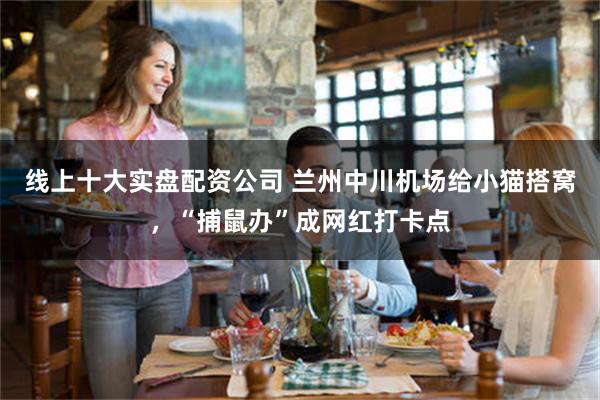 线上十大实盘配资公司 兰州中川机场给小猫搭窝，“捕鼠办”成网红打卡点