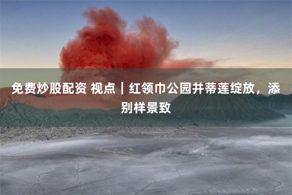 免费炒股配资 视点｜红领巾公园并蒂莲绽放，添别样景致
