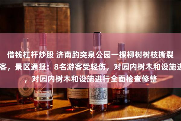 借钱杠杆炒股 济南趵突泉公园一棵柳树树枝撕裂折断刮倒16名游客，景区通报：8名游客受轻伤，对园内树木和设施进行全面检查修整