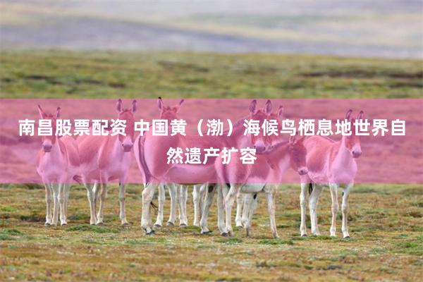 南昌股票配资 中国黄（渤）海候鸟栖息地世界自然遗产扩容