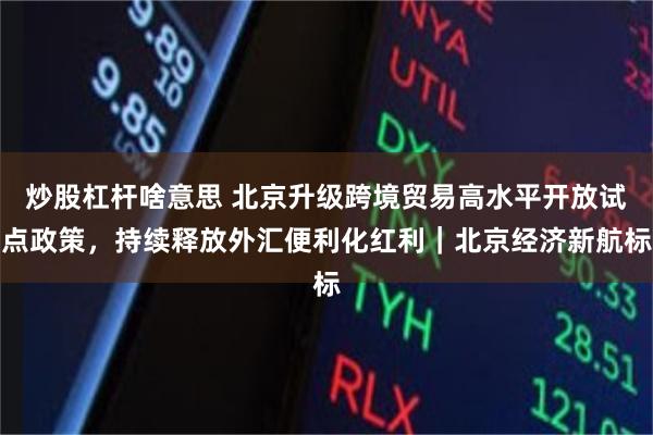 炒股杠杆啥意思 北京升级跨境贸易高水平开放试点政策，持续释放外汇便利化红利｜北京经济新航标