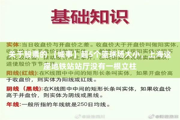 关于股票的 【城事】超5个篮球场大小，上海这座地铁站站厅没有一根立柱