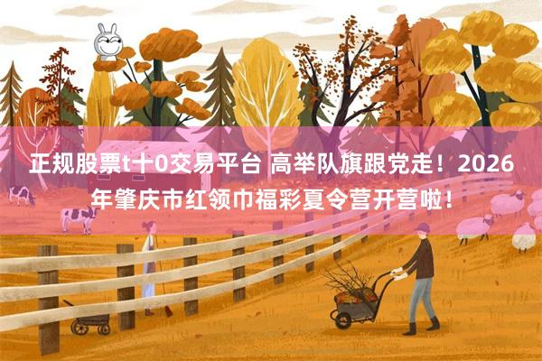 正规股票t十0交易平台 高举队旗跟党走！2026年肇庆市红领巾福彩夏令营开营啦！