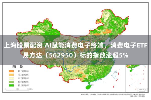 上海股票配资 AI赋能消费电子终端，消费电子ETF易方达（562950）标的指数涨超5%