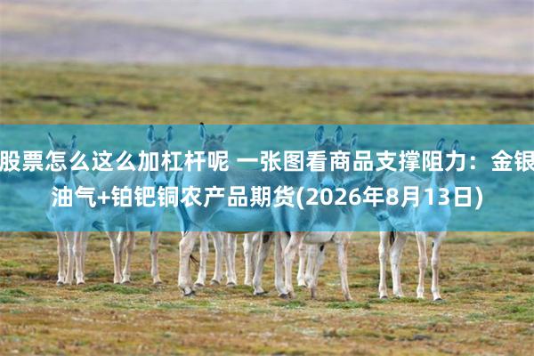 股票怎么这么加杠杆呢 一张图看商品支撑阻力：金银油气+铂钯铜农产品期货(2026年8月13日)