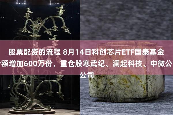 股票配资的流程 8月14日科创芯片ETF国泰基金份额增加600万份,重仓股寒武纪、澜起科技、中微公司