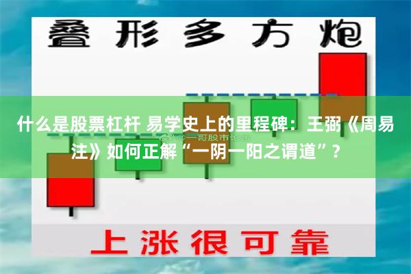 什么是股票杠杆 易学史上的里程碑：王弼《周易注》如何正解“一阴一阳之谓道”？