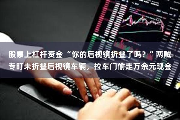 股票上杠杆资金 “你的后视镜折叠了吗？”两贼专盯未折叠后视镜车辆，拉车门偷走万余元现金