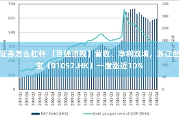证券怎么杠杆 【百强透视】营收、净利双增,浙江世宝(01057.HK)一度涨近10%