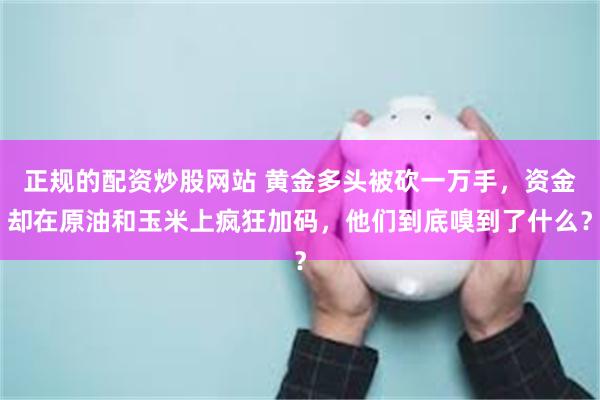 正规的配资炒股网站 黄金多头被砍一万手，资金却在原油和玉米上疯狂加码，他们到底嗅到了什么？