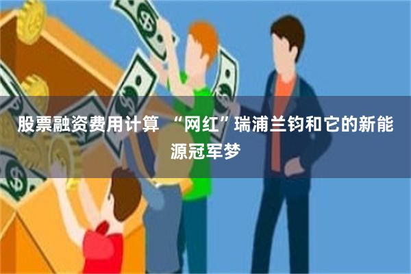 股票融资费用计算  “网红”瑞浦兰钧和它的新能源冠军梦