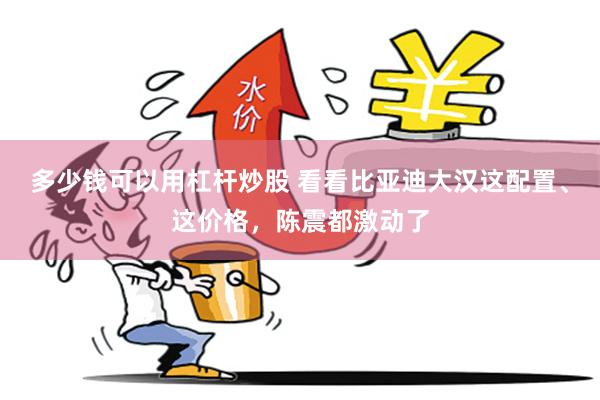 多少钱可以用杠杆炒股 看看比亚迪大汉这配置、这价格，陈震都激动了
