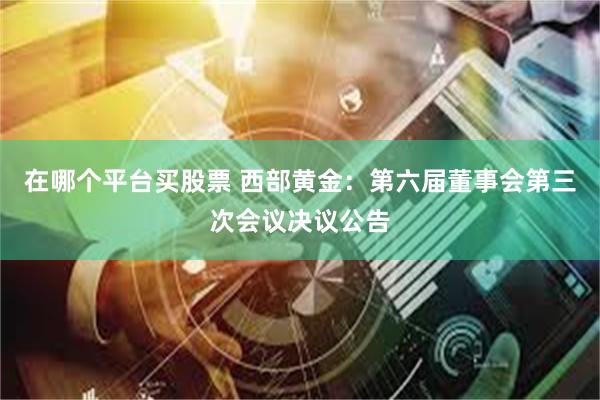在哪个平台买股票 西部黄金：第六届董事会第三次会议决议公告