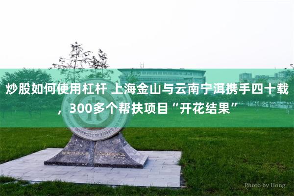 炒股如何使用杠杆 上海金山与云南宁洱携手四十载,300多个帮扶项目“开花结果”